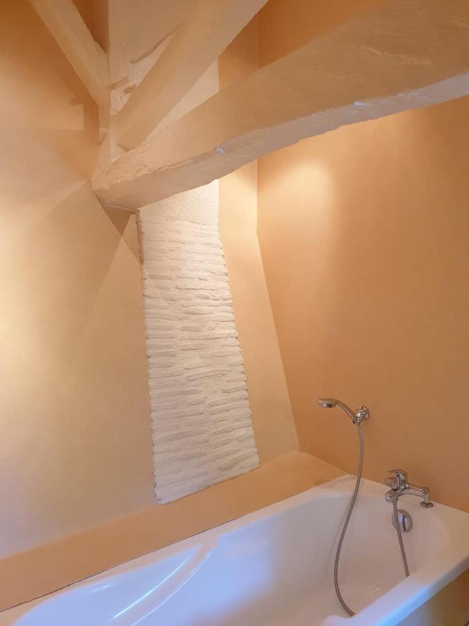 Gite "L'Herbier" Domaine De Fonpeyroune Conne-de-Labarde エクステリア 写真